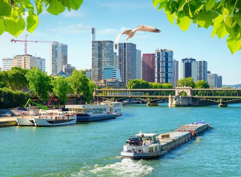 Seine river in Paris at sunny summer day