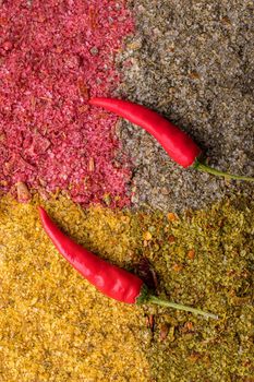 Salted seasoning set. Svan, garlic, Caucasian and Adyghe salt. Seasoning for a fragrant lunch. View from above.