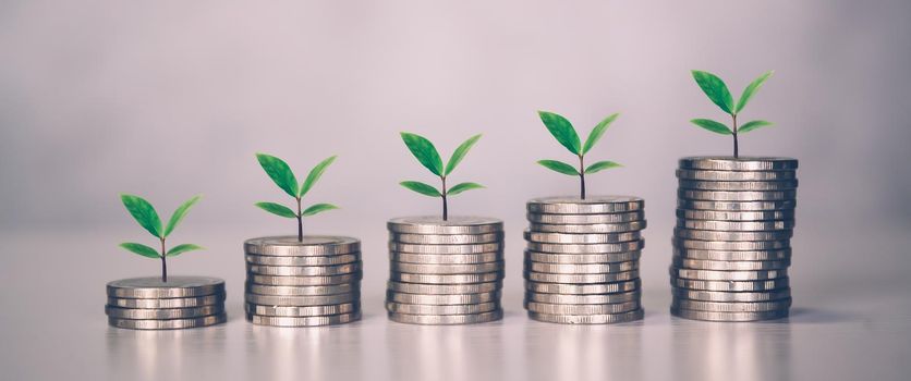 Coin stack with increase growth and leaf, finance and saving with tree, investment for profit and success, planning with financial, growing economy and fund, stock and income, business concept.