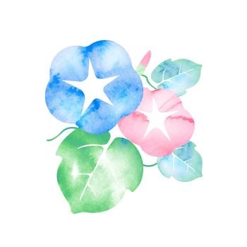 Summer motif watercolor painting illustration for summer greeting card etc. | morning glory flower