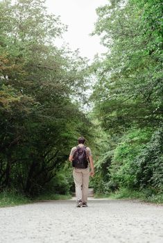 Hiking and travelling. Young man walk along the forest in the early misty morning