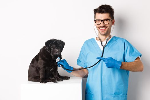 Handsome veterinarian at vet clinic examining cute black pug dog, pointing finger at pet during check-up with stethoscope, white background.