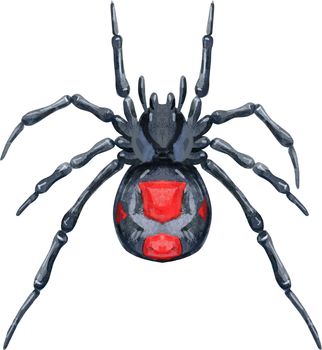 Watercolor spider karacurt with red spots.