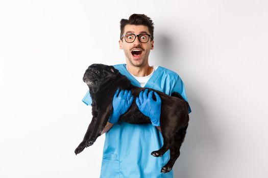 Vet clinic concept. Happy male doctor veterinarian holding cute black pug dog, staring at camera amazed, white background.