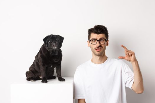 Image of puzzled young man sitting near cute black pug, showing small size and frowning disappointed, white background.