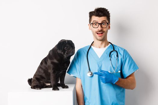 Amazed doctor staring at camera, male veterinarian pointing finger at cute black pug dog on examination table, white background.