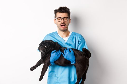 Vet clinic concept. Sad veterinarian holding black pug dog and crying, sobbing with miserable face, standing over white background.