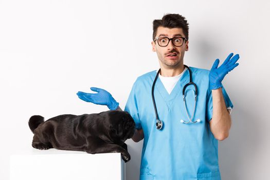 Veterinarian doctor intern in scrubs shrugging, confused how to examine dog, pug lying on table, white background.