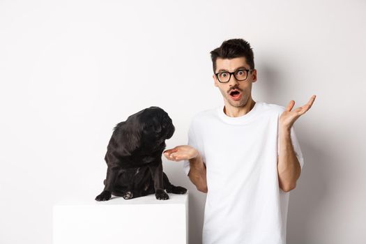 Image of funny black pug looking at his confused owner, man shrugging puzzled, standing over white background.