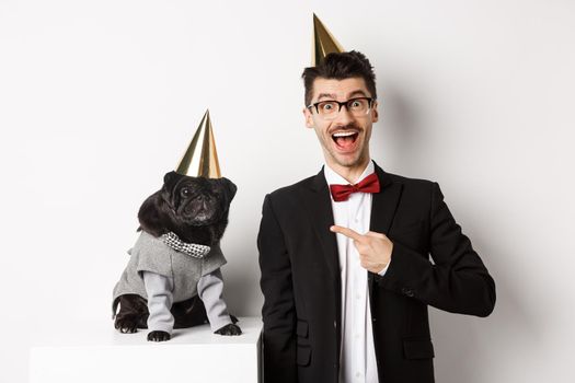 Happy dog owner and black pug wearing birthday party cones, man pointing at pug, standing over white background.
