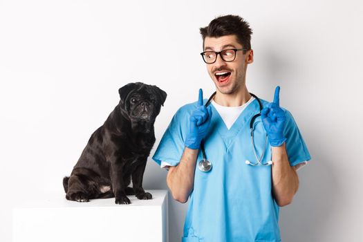 Cheerful handsome veteriantian in scrubs staring happy at cute little dog pug and smiling, pointing fingers up at promo offer, white background.