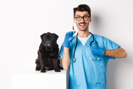 Handsome male doctor veterinarian holding syringe and standing near cute black pug, vaccinating dog, white background.