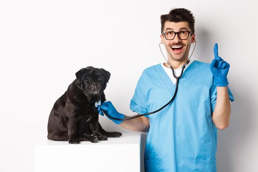 Handsome doctor veterinarian smiling, examining pet in vet clinic, checking pug dog with stethoscope, pointing finger up at promo banner, white background.