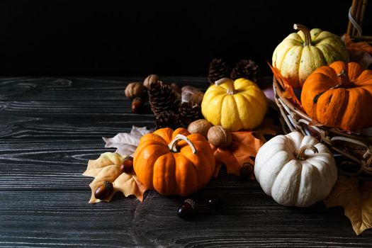 Happy Thanksgiving Day with pumpkin and nut on wooden table