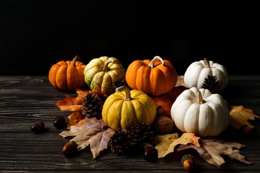 Happy Thanksgiving Day with pumpkin and nut on wooden table