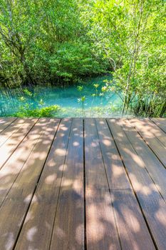 Wooden bridge byside on the Tropical tree roots canal, Nature background.