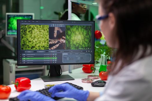 Chemist doctor analyzing genetically modified plants on computer typing microbiology expertise during biochemistry experiment. Multi-ethnic team of scientists working in pharmaceutical laboratory