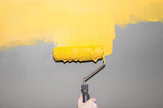 A painter rolls a bright yellow paint onto a gray wall background. Room painting. Pantone colors.