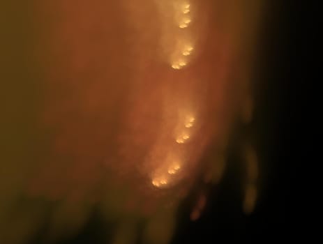 Imaginatory lush fractal texture image abstract background