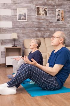 Old couple doing breathing exercise at home sitting on yoga mat. Old person healthy lifestyle exercise at home, workout and training, sport activity in living room.