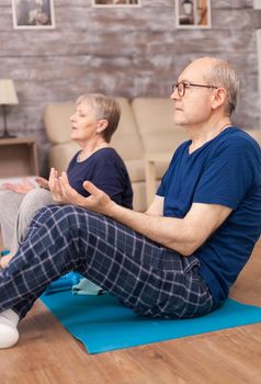 Pensioner learning yoga technique in their apartment. Old person healthy lifestyle exercise at home, workout and training, sport activity at home on yoga mat.