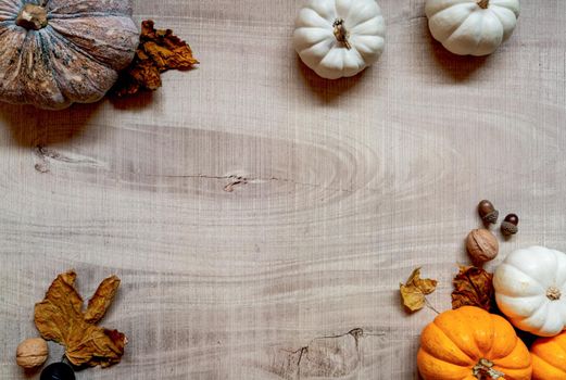 Happy Thanksgiving Day with pumpkin and nut on wooden table