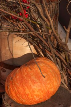 Autumn harvest. Ripe pumpkins on a wooden background. Thanksgiving and halloween concept. Copy space.