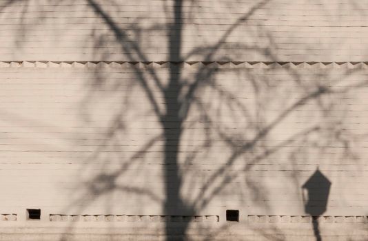 Lantern and tree shadows on the white brick wall