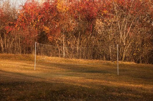 A sport area in the forest