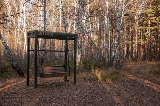 Empty hanging swing among the trees on an autumn park, sunny day.