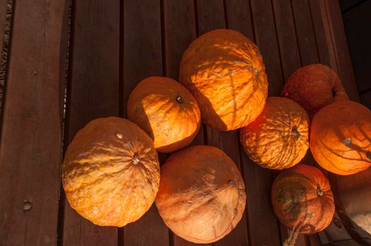 Autumn harvest. Ripe pumpkins on a wooden background. Thanksgiving and halloween concept. Copy space.