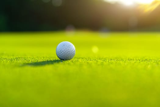 Golf ball on green field grass sunny summer day Nobody