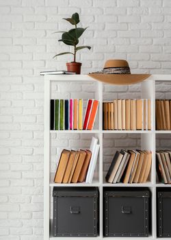 bookshelf with plant hat. High resolution photo