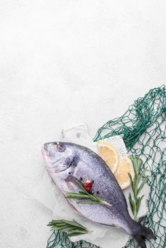 fresh sea bream fish green fish net. High resolution photo