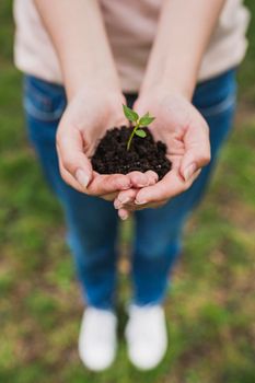 hands holding small plant. High resolution photo