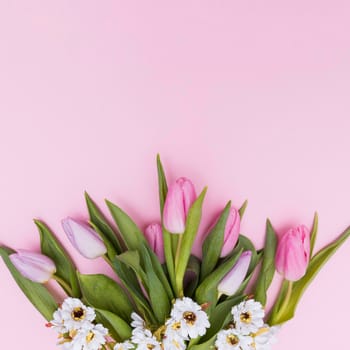 white pink colored flowers. High resolution photo