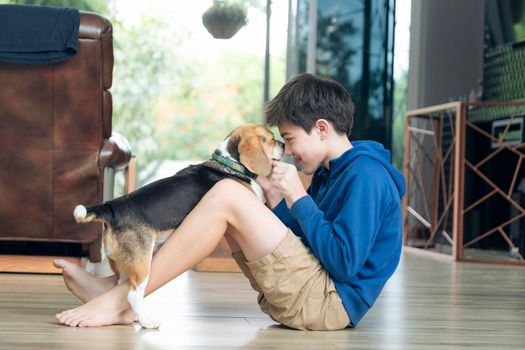 Child Playing With His Pet Dog At Home.
