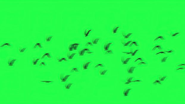 3d illustration - Group of birds with isolated sky on green screen 