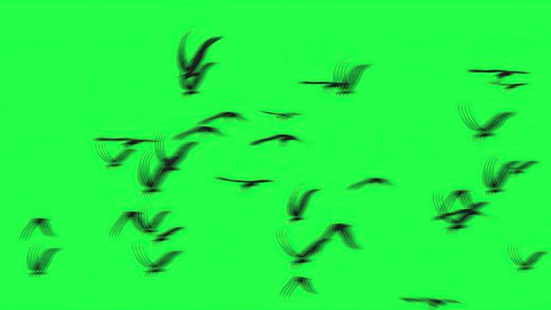 3d illustration - Group of birds with isolated sky on green screen 