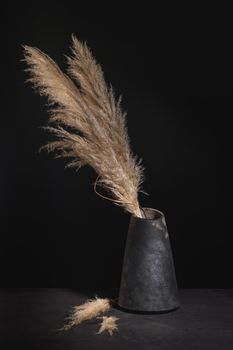 Modern design black ceramic vase  with ornamental natural plants on dark countertop and background.