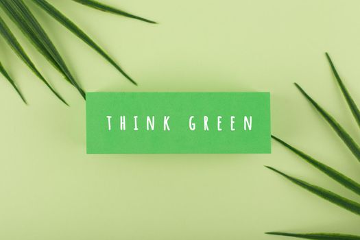 Green marketing minimal concept in monochromatic green colors. White text written on green rectangle on green background decorated with palm leaves