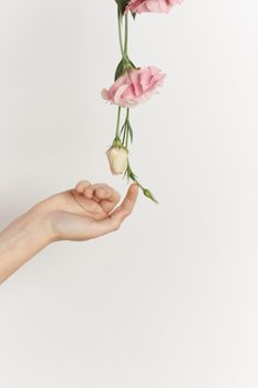 bouquet of flowers in hands close-up light background decoration beauty. High quality photo