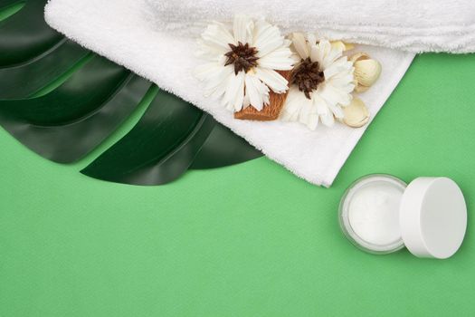 spa products cosmetics health procedures Green background. High quality photo