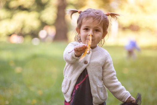 adorable toddler girl holds out an autumn yellow maple leaf into the camera