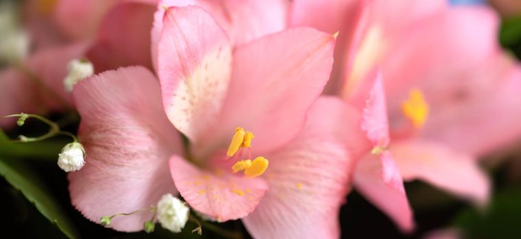 Festive bouquet of assorted flowers including pink alstroemeria