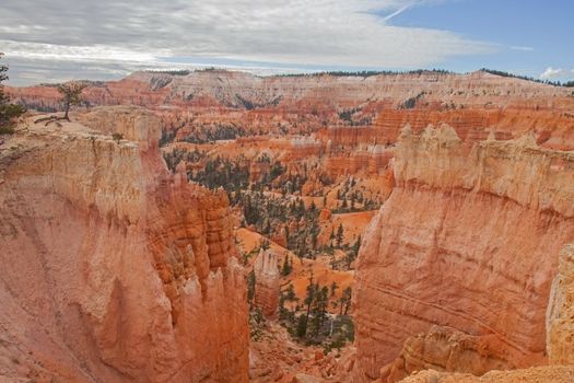 View over Bryce Canyon from the Queens Garden Trail