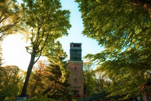 An old lookout tower in the sunny forest