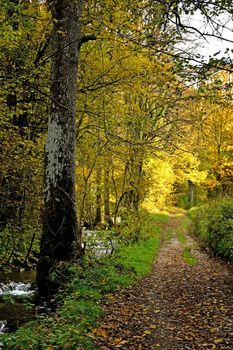 track beside a small creek with trees in autumnal colors