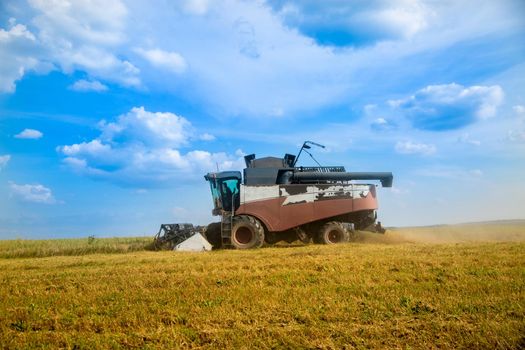 old harvester plows the field. harvester harvests wheat from a sown agricultural field summer day