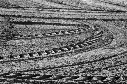 Sand racked texture on the beach in the morning